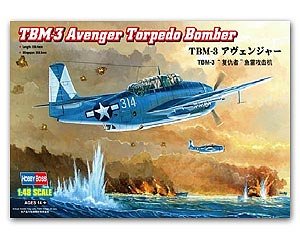 TBM-3 Avenger Torpedo Bomber  (Vista 1)