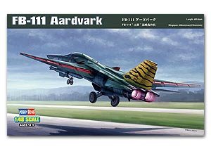 FB-111 Aardvark   (Vista 1)