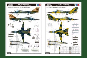 FB-111 Aardvark   (Vista 3)