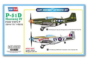 P-51D Mustang IV Fighter  (Vista 1)