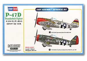 P-47D Thunderbolt Fighter   (Vista 1)