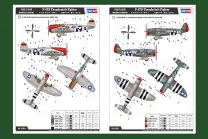 P-47D Thunderbolt Fighter   (Vista 2)