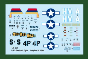 P-47D Thunderbolt Fighter   (Vista 3)