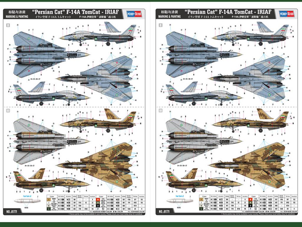 Gato persa F-14A TomCat - IRIAF  (Vista 2)