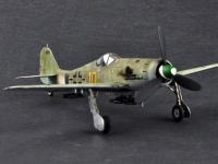 Focke-Wulf FW190D-13 (Vista 13)