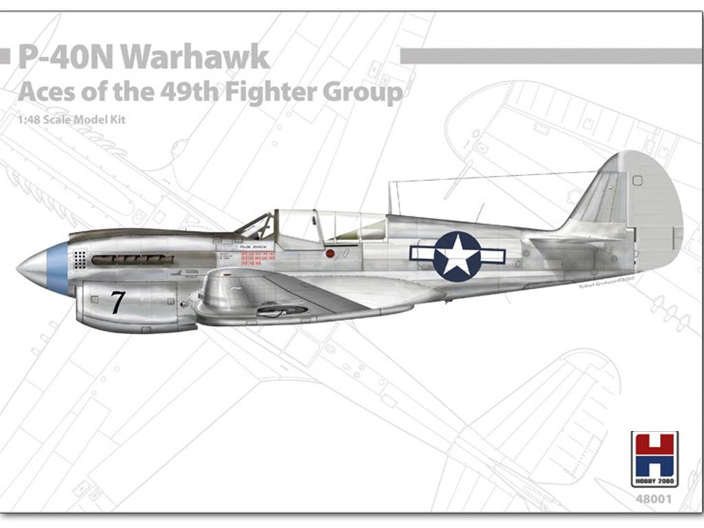P-40N Warhawk Aces of The 49th Fighter Group (Vista 1)