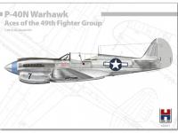P-40N Warhawk Aces of The 49th Fighter Group (Vista 2)