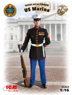 US Marines Sergeant  (Vista 1)