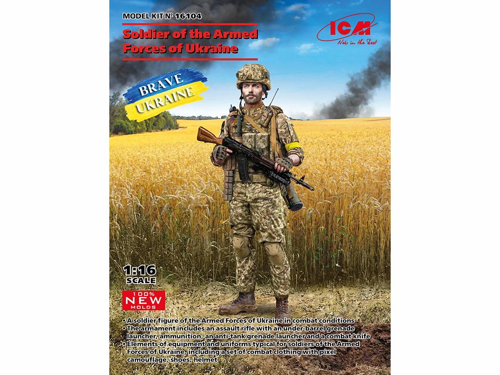 Soldier of the Armed Forces of Ukraine (Vista 1)