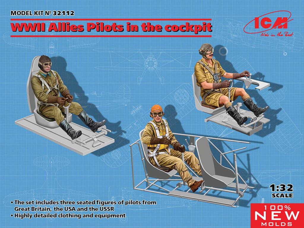 Allies Pilots in the cockpit (Vista 1)