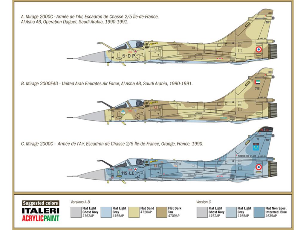 Mirage 2000C - Gulf War 25th Anniversary (Vista 3)