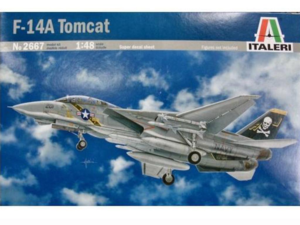 F-14 A Tomcat (Vista 1)