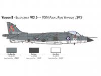 Sea Harrier FRS.1 (Vista 9)