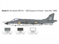 Sea Harrier FRS.1 (Vista 10)