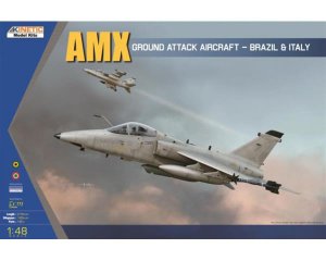 AMX Single Seat Flighter (Vista 2)