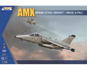 AMX Single Seat Flighter  (Vista 1)