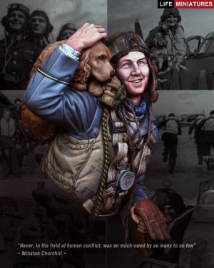 The Few' RAF Figheter Pilot 1940 Battle   (Vista 1)