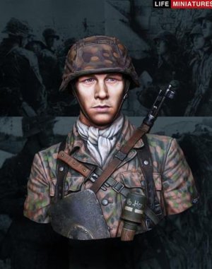 Panzergrenadier, 12th SS Panzer Division  (Vista 1)