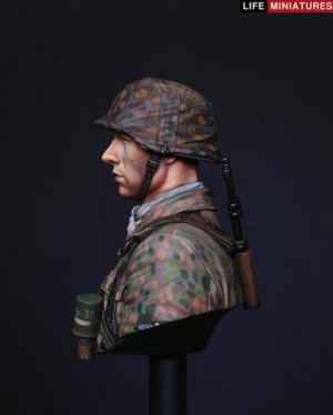 Panzergrenadier, 12th SS Panzer Division  (Vista 2)