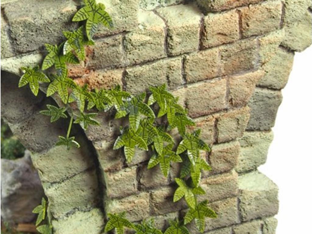 Plantas y Maleza A (Vista 2)