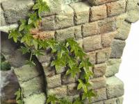 Plantas y Maleza A (Vista 4)