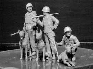 Dogs in the service in Marine Corps, WW   (Vista 4)