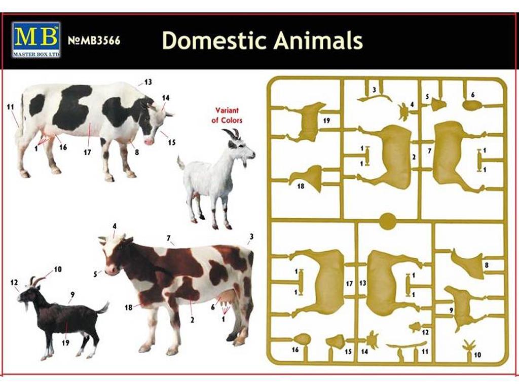 Animales domesticos (Vista 2)