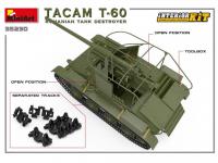 Tanque Tacam T-60 Romanian  (Vista 21)
