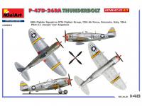 P-47D-26RA THUNDERBOLT (Vista 6)