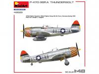 P-47D-30RA Thunderbolt (Vista 6)