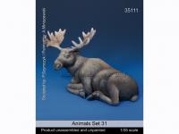 Animales Set 31 (Vista 5)