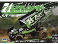 Indy Race Parts n.71 Joey Saldana (Vista 8)
