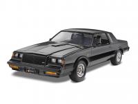 1987 Buick Grand National (Vista 7)