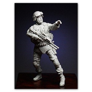 Soldier of 10th Mountain Division  (Vista 1)