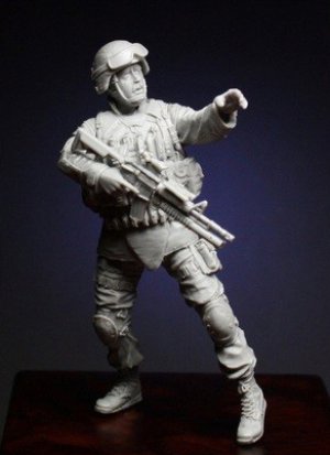 Soldier of 10th Mountain Division  (Vista 2)