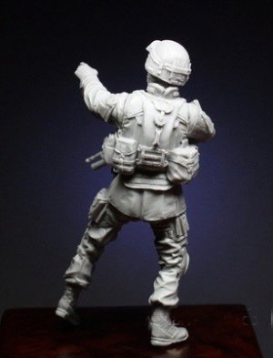 Soldier of 10th Mountain Division  (Vista 3)