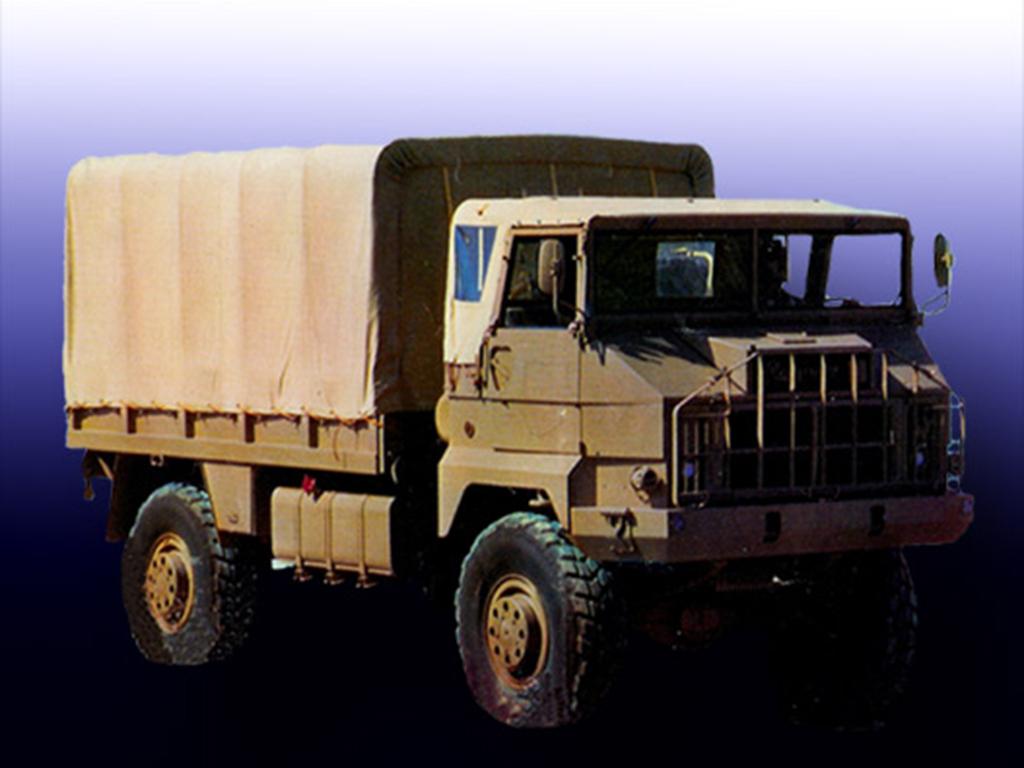 Camión Pegaso carga 3046 (Vista 1)