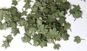 Hojas verdes de arce  (Vista 1)