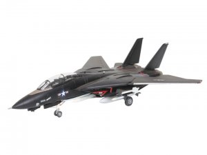 F-14A Black Tomcat  (Vista 2)