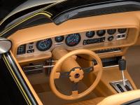 1979 Pontiac Firebird Trans AM (Vista 12)