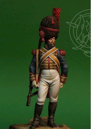 Grenadier of Royal Gard  (Vista 1)