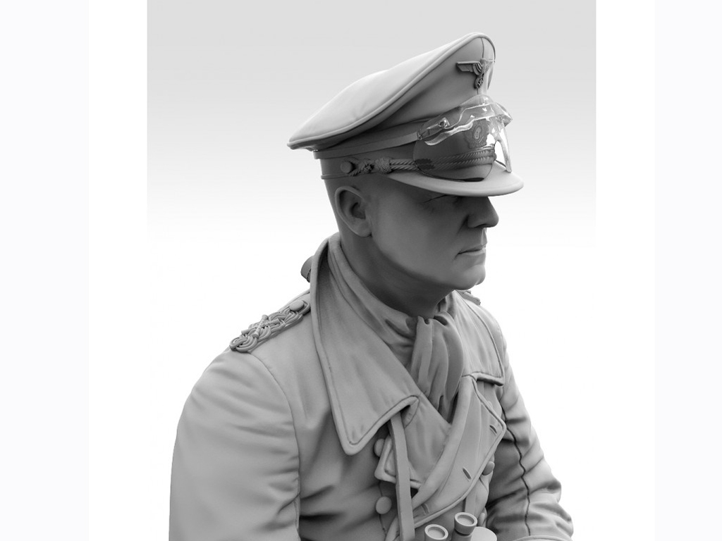 Erwin Rommel  (Vista 7)