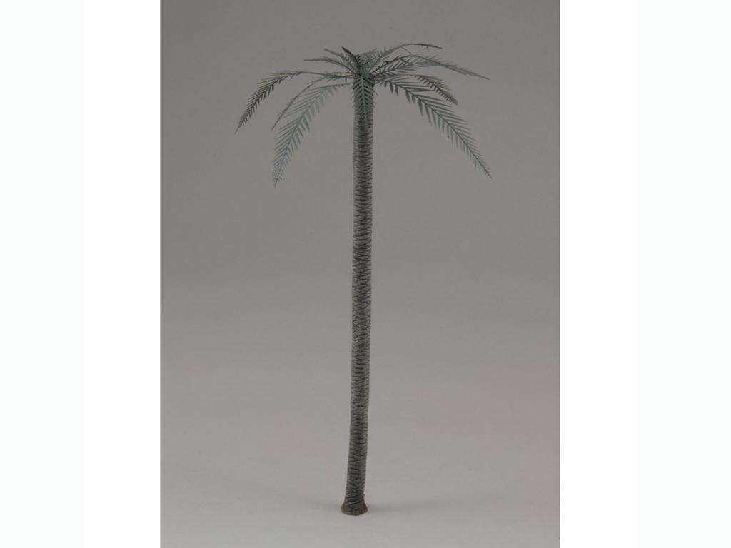 Palmera (Vista 1)