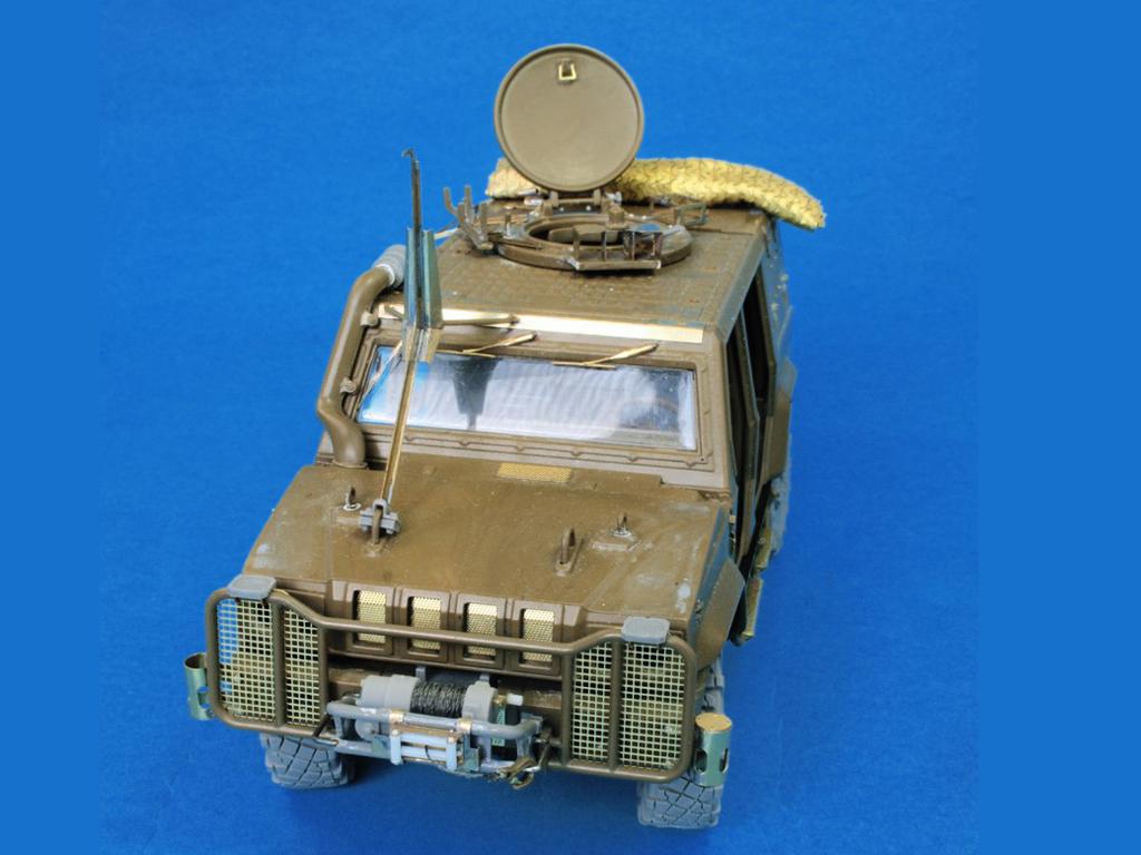 Lince (Vista 4)