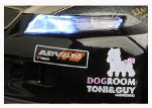 Honda Accord WTCC Russia  (Vista 5)