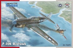 Curtiss P-40 Warhawk  (Vista 1)