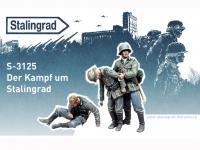 La batalla por Stalingrado (Vista 6)