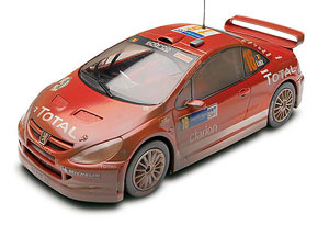 Peugeot 307 WRC Efecto Barro  (Vista 1)