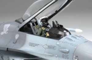 F-16CJ Fighting Falcon  (Vista 2)