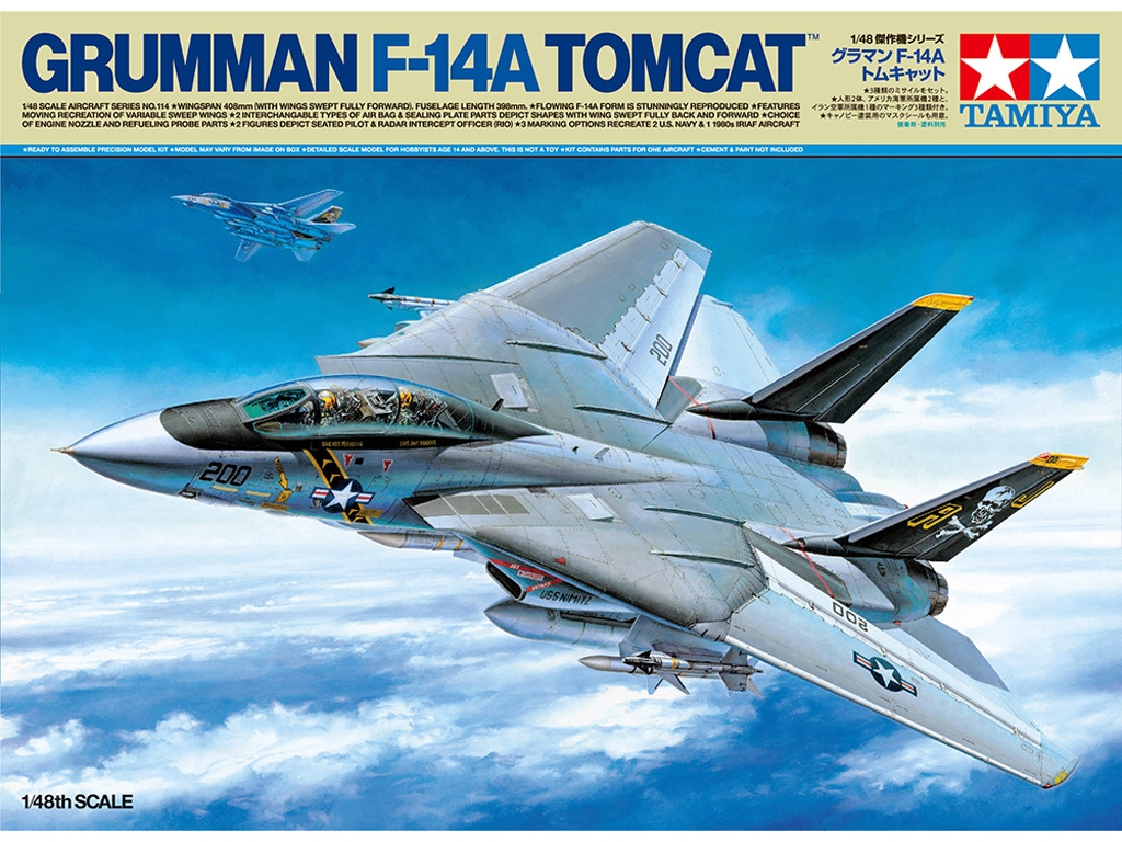 Grumman F-14A Tomcat  (Vista 1)